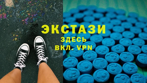 гашик Вяземский