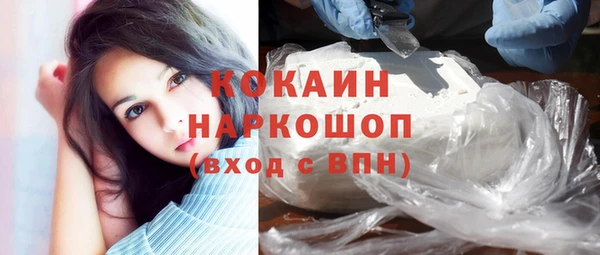 гашик Вяземский