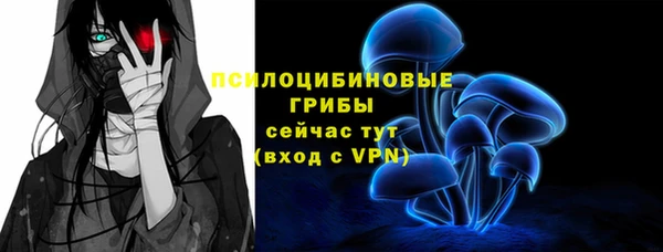мяу мяу мука Вязьма