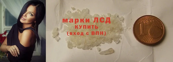 гашик Вяземский