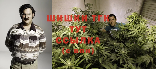 гашик Вяземский