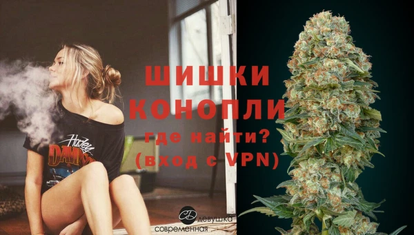 гашик Вяземский