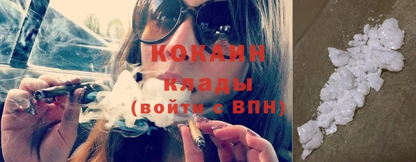 гашик Вяземский