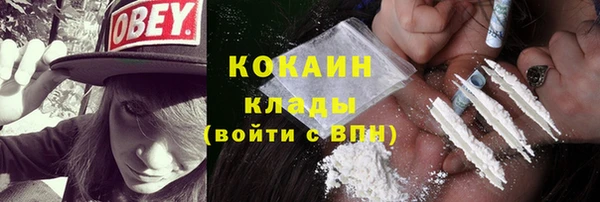 мяу мяу мука Вязьма