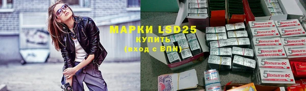 гашик Вяземский