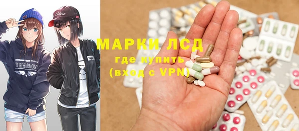гашик Вяземский