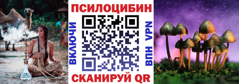 сколько стоит Дальнегорск Псилоцибиновые грибы мухоморы