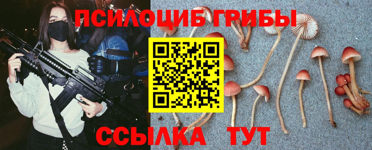 Псилоцибиновые грибы MAGIC MUSHROOMS  Галлюциногенные грибы Psilocybe  купить наркоту  Дальнегорск  Вход с VPN 