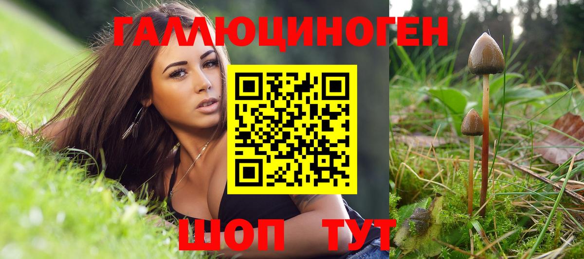 Псилоцибиновые грибы Cubensis Дальнегорск